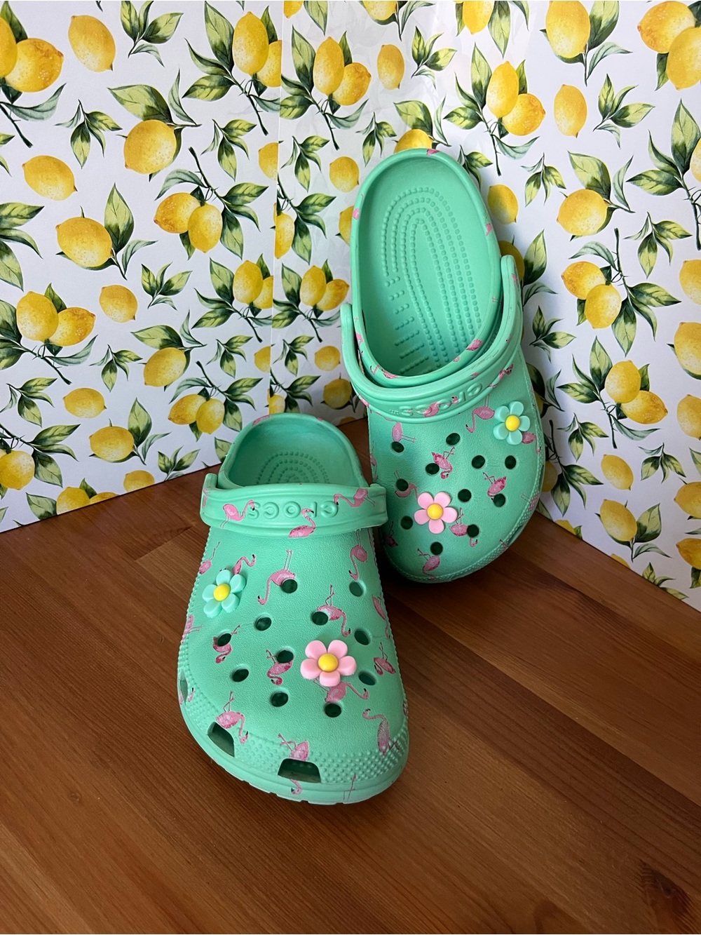 Women’s Mint Green Flamingo Crocs Clog Sandals Size 7